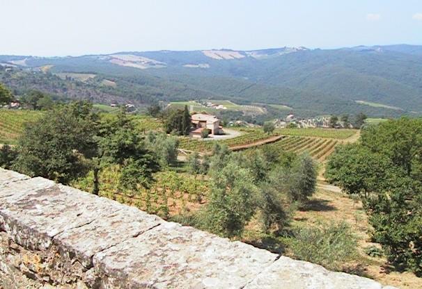 Podere Soccorso Montalcino Bagian luar foto