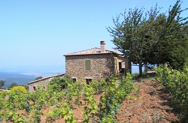 Podere Soccorso Montalcino Bagian luar foto