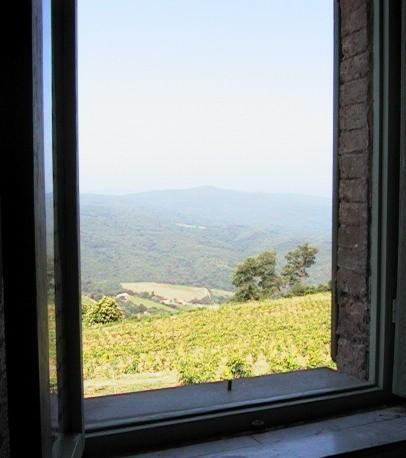 Podere Soccorso Montalcino Bagian luar foto