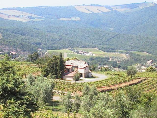 Podere Soccorso Montalcino Bagian luar foto